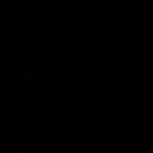 Meet your Posher, Destiny